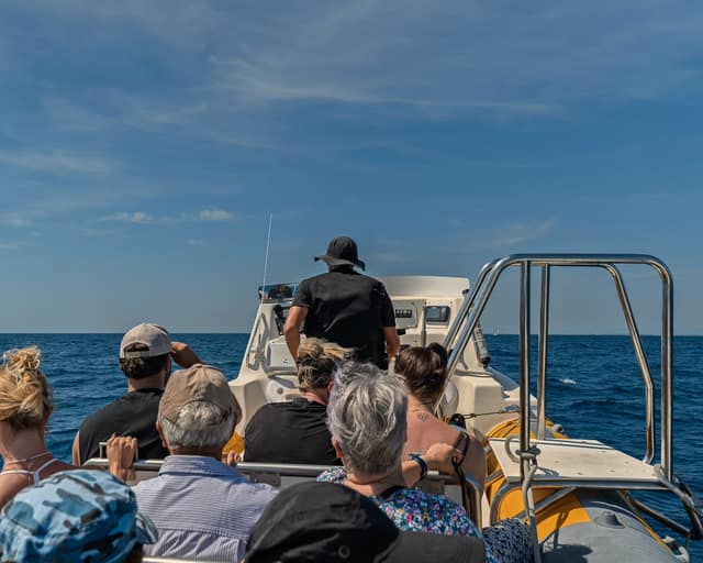 Sortie en mer — photo 12