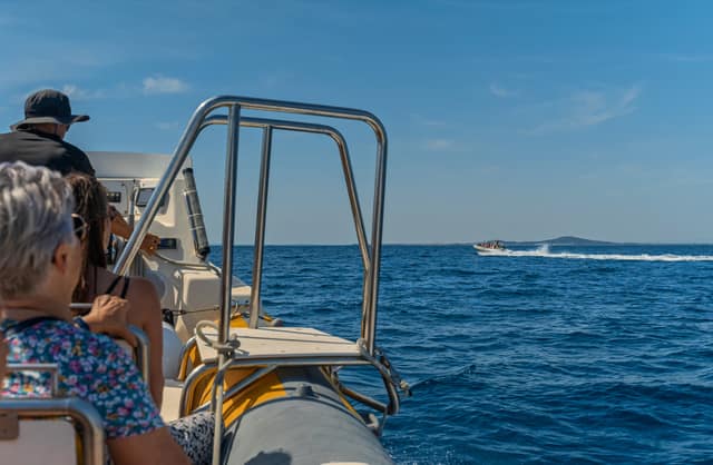 Sortie en mer — photo 16