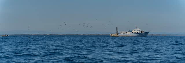 Sortie en mer — photo 17