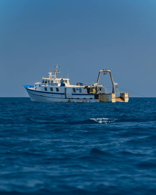 Sortie en mer — photo 18