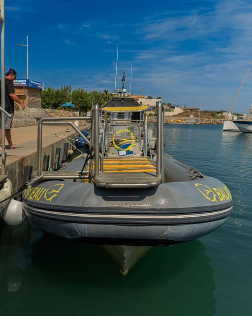 Sortie en mer — photo 19