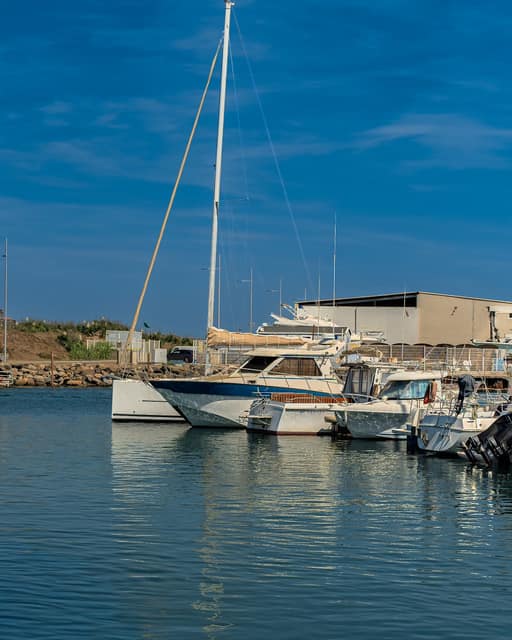 Sortie en mer — photo 20