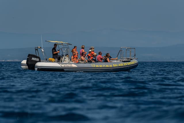 Sortie en mer — photo 6