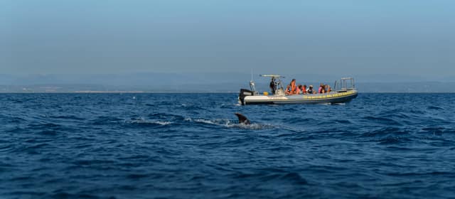 Sortie en mer — photo 7