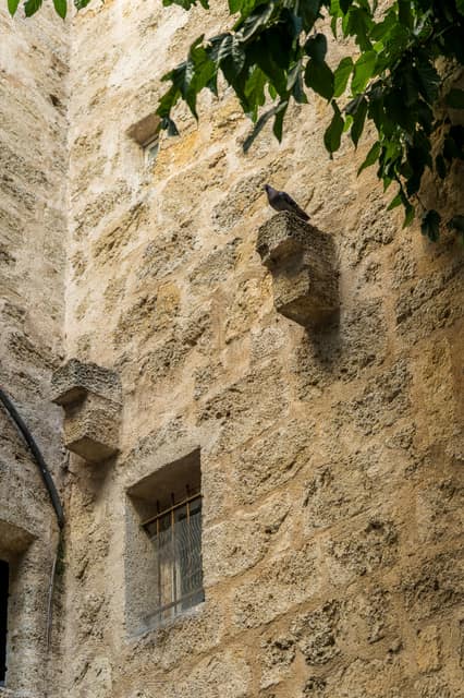 L'Impromptu de Pézenas — photo 95